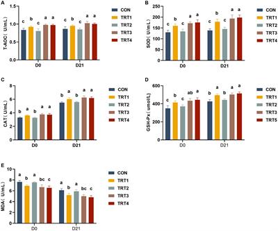 Effects of supplemental feeding of Chinese herbal mixtures to perinatal sows on antioxidant capacity and gut microbiota of sows and their offspring piglets